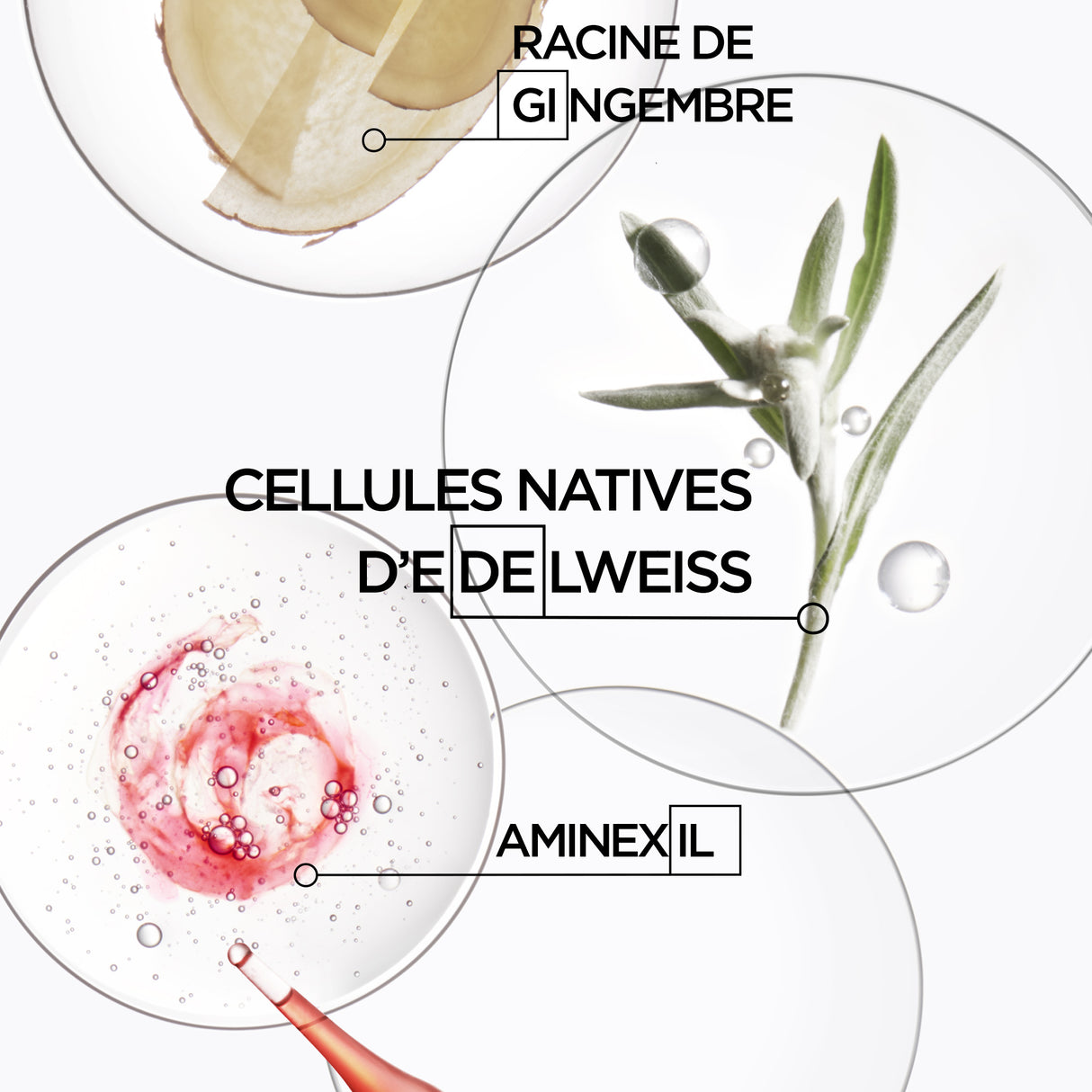 Bain Hydra-Fortifiant Genesis Kérastase 250 ML