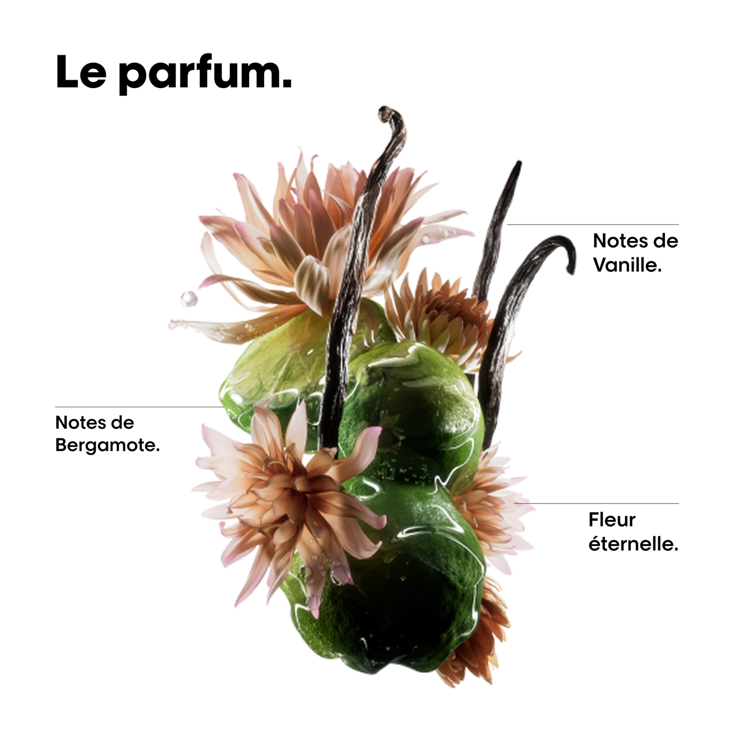 Huile Bi-Phase Absolut Repair Molecular L'Oréal Professionnel 30 ML