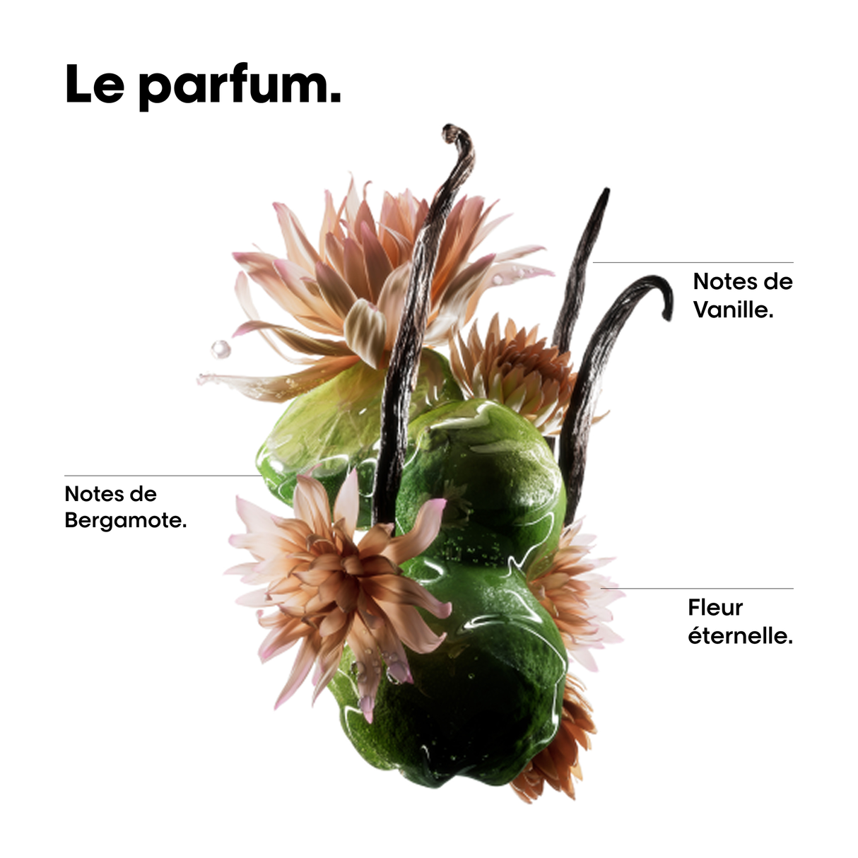 Huile Bi-Phase Absolut Repair Molecular L'Oréal Professionnel