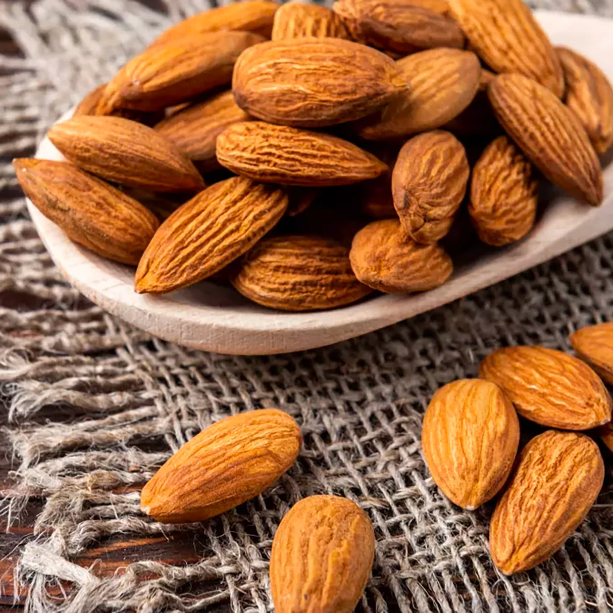 Shampoing Concentré Amande Formul Pro 5 Litres