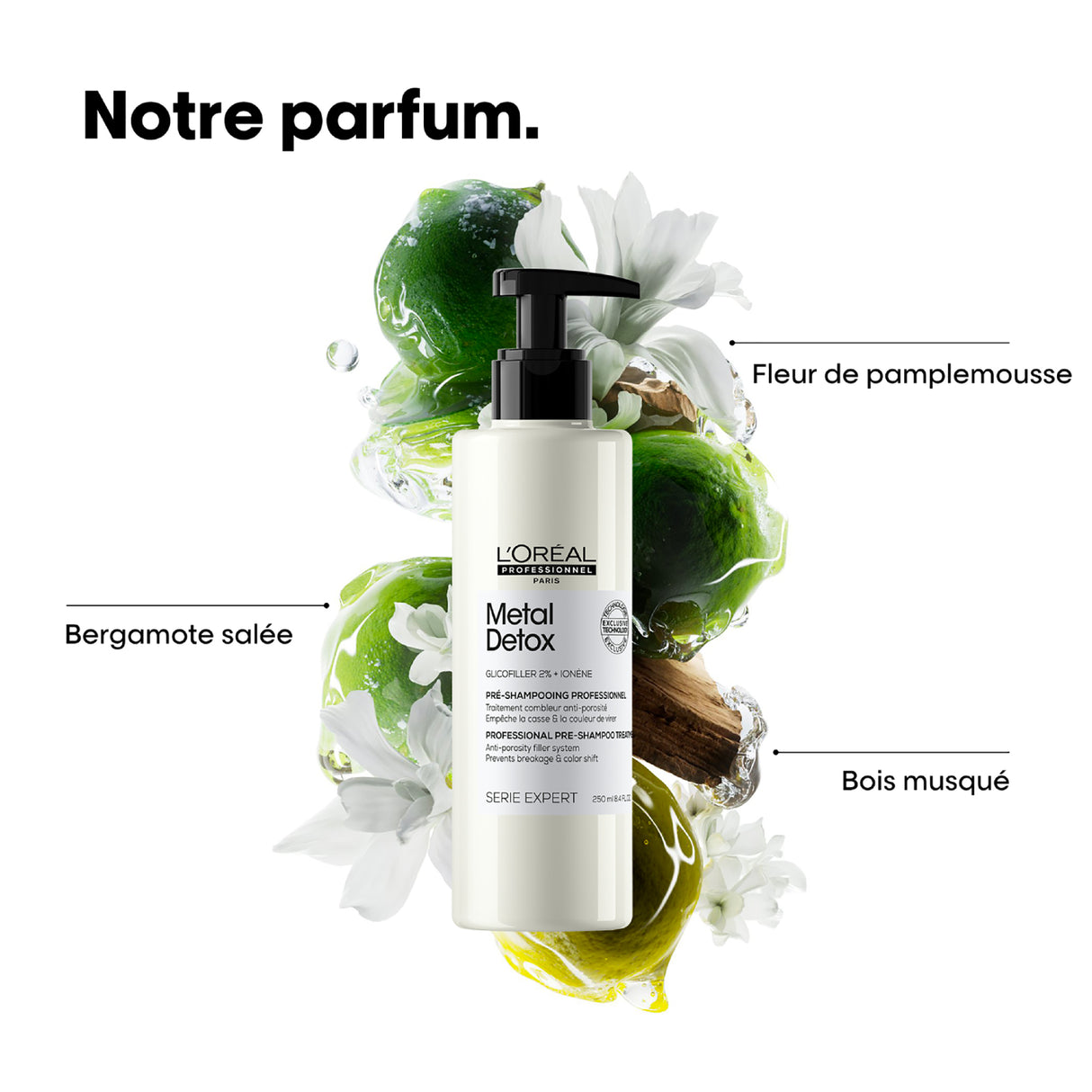 Pré-Shampoing Metal Detox L'Oréal Professionnel 250 ML