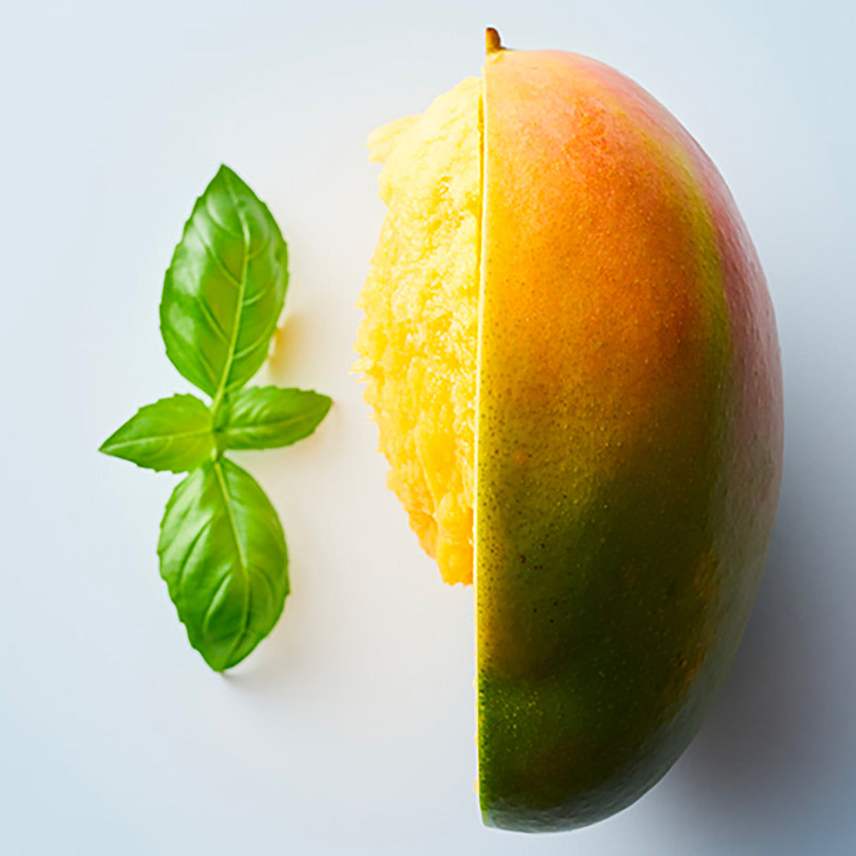 Spray Soin Hydratant Authentic Beauty Concept 250 ML