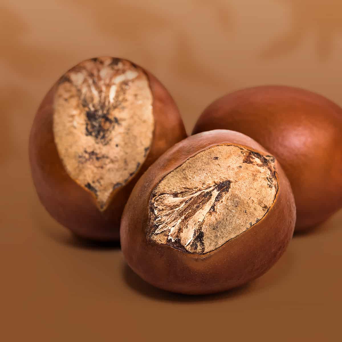 Shampoing Repigmentant Ombre Naturelle Mulato 500 ML