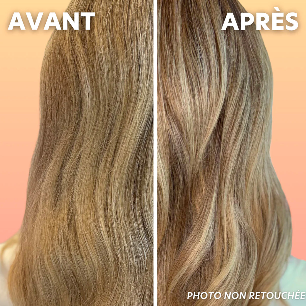 Shampoing Cheveux Secs/Abîmés/Cassants Generik 1 Litre