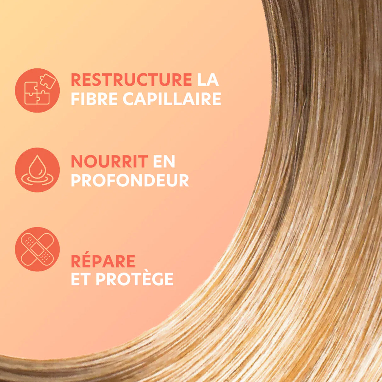 Shampoing Cheveux Secs/Abîmés/Cassants Generik 300 ML