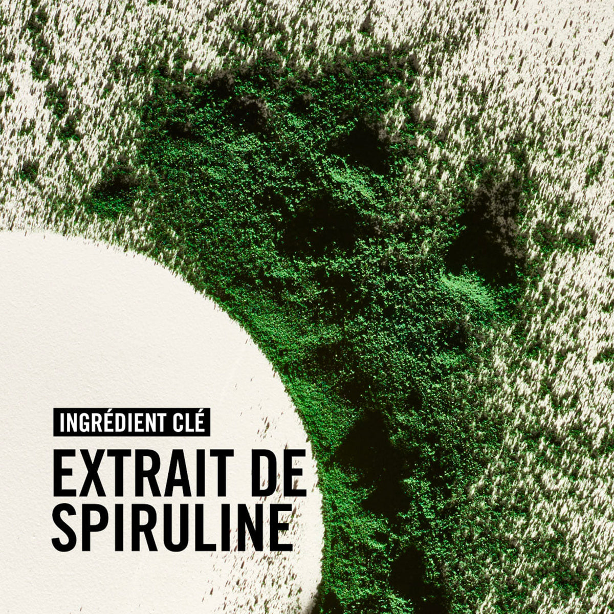 Bain Doux Equilibrant Authentic Beauty Concept 300 ML