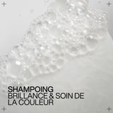 Shampoing Acidic Color Gloss Redken 300 ML